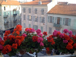 Geraniums on Balcony
